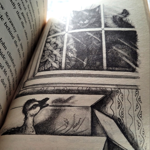 2/$15 ๐ผ Scrawny The Classroom Duck - Picture 8 of 9